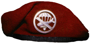 metal.gif (19679 bytes)
